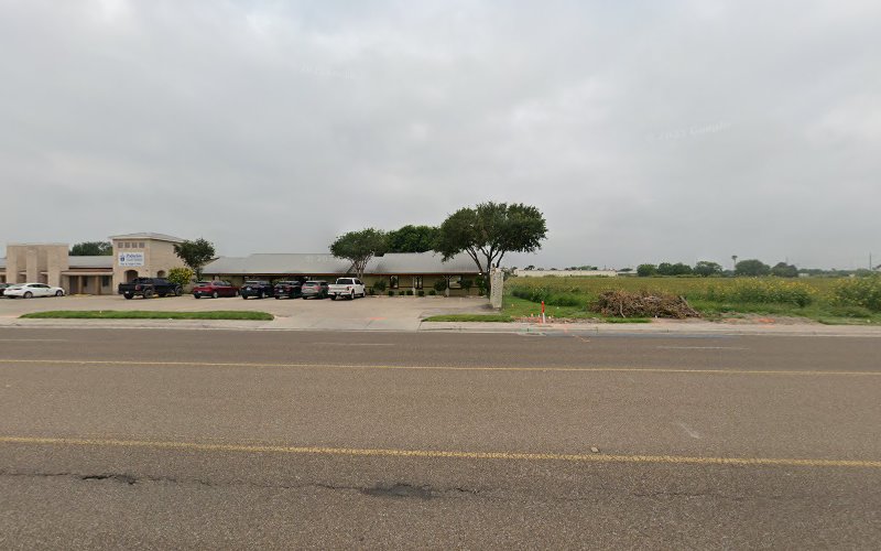 45407 gonzalez palacios llp