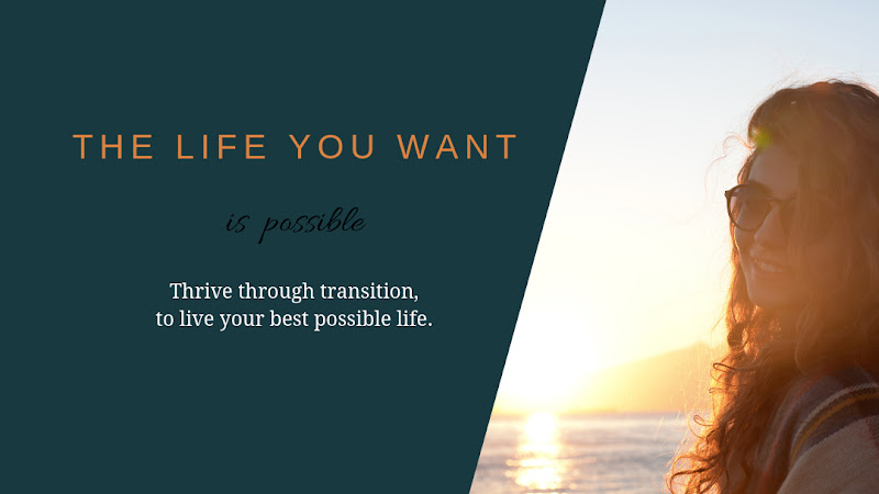 399157 st. louis divorce and mediation services
