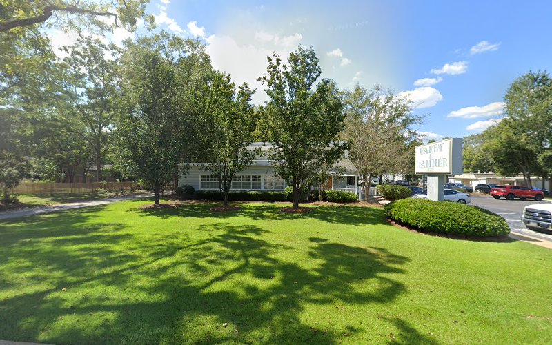 403802 steven r. hamner p.c
