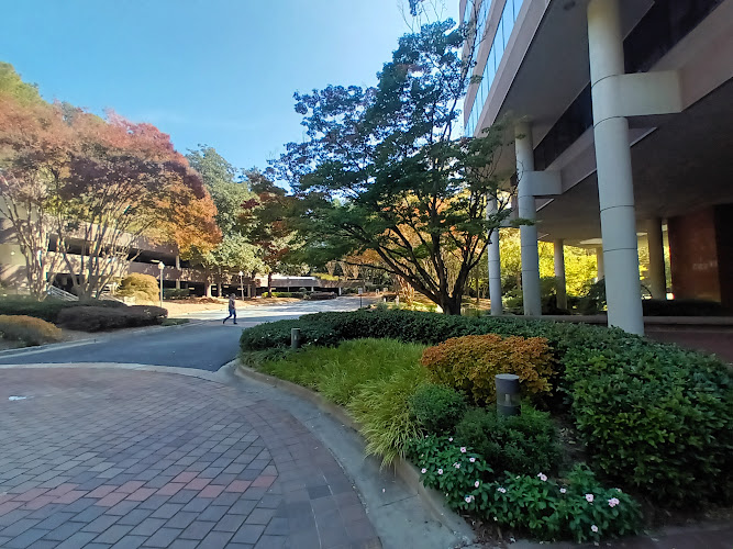 Feature image