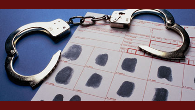 412411 terry m. green attorney at law