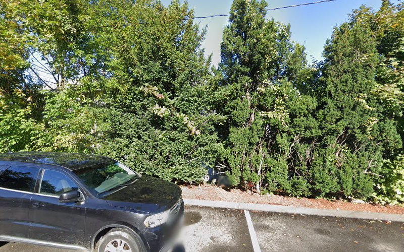 419501 the law office of anita c. di gioia llc