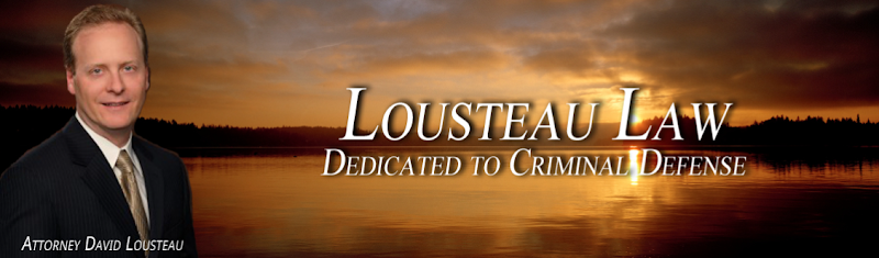 420486 the law office of david lousteau pllc