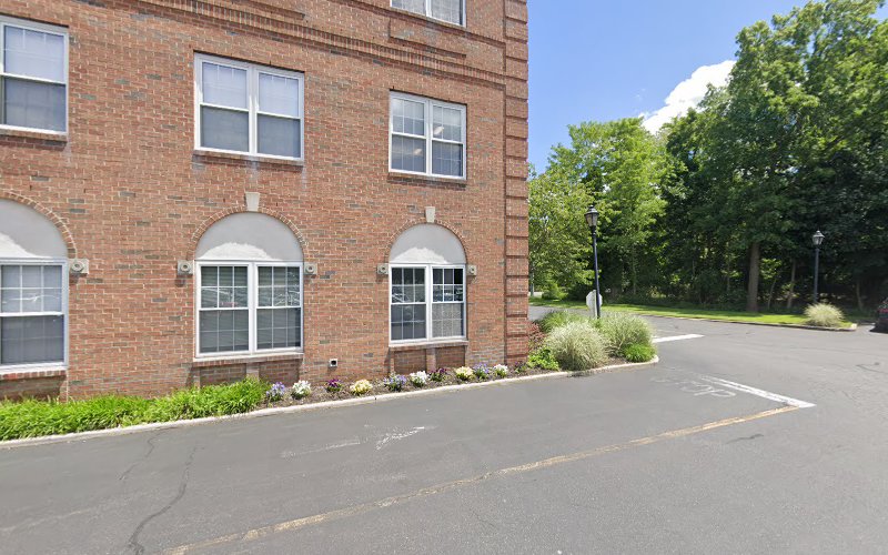 423019 the law office of michael j. brescia p.c