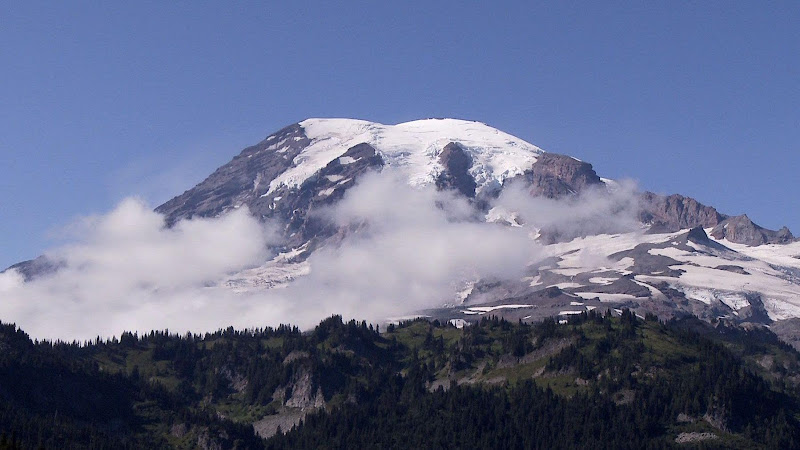 431187 the rainier law group
