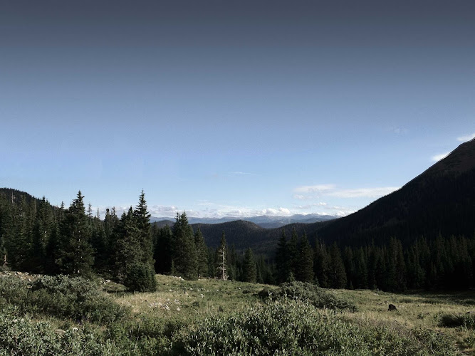 Feature image