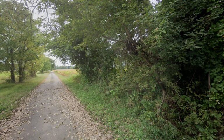 Feature image