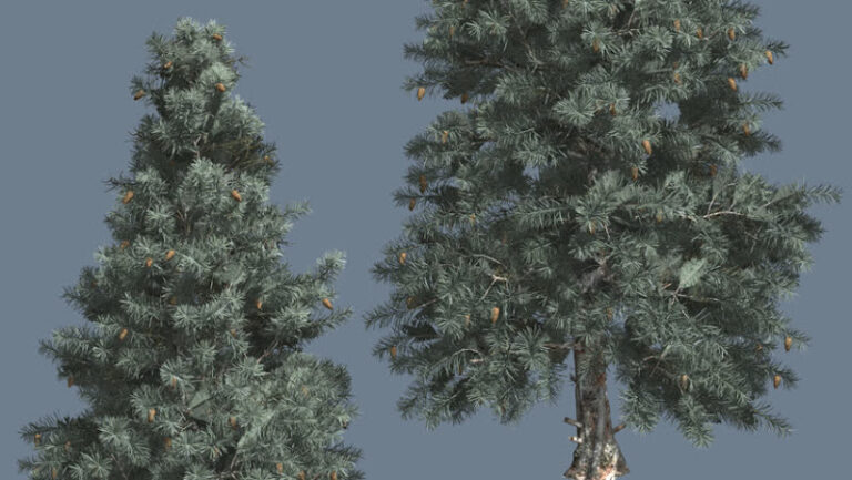 Feature image