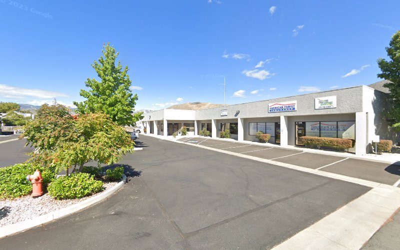 445966 vander laan law firm llc