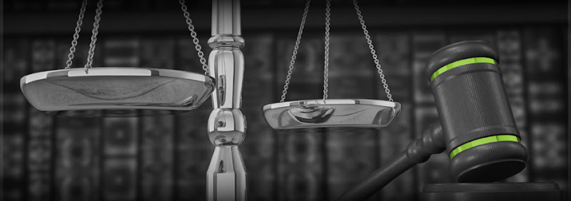 447331 vicevich law