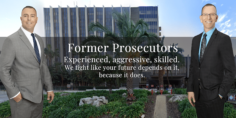 448351 visco selyem criminal defense