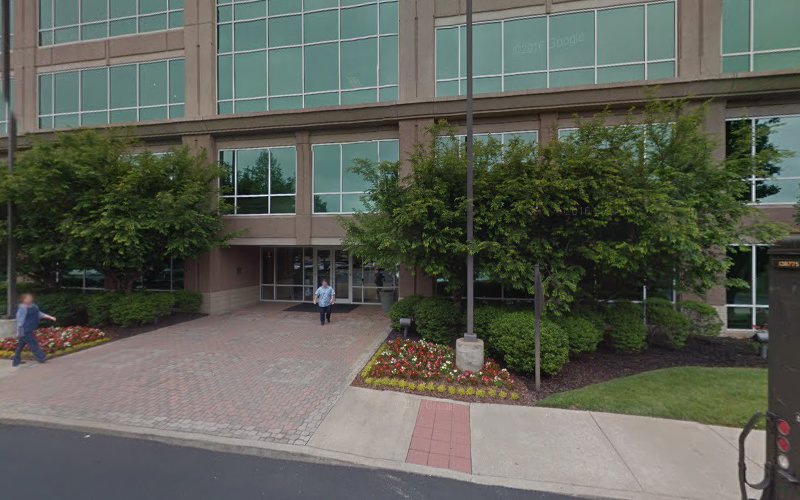 449007 vulcan legal group llc