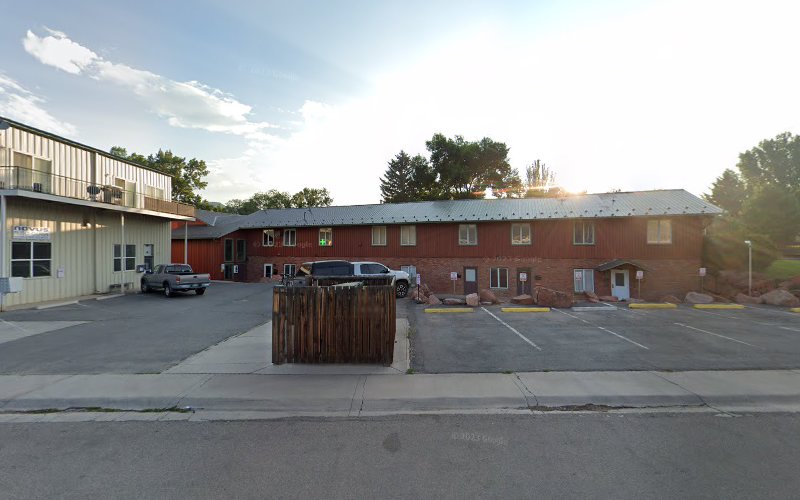 449336 w. trent palmer pc