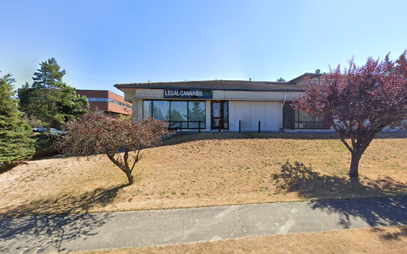 449481 wade law offices