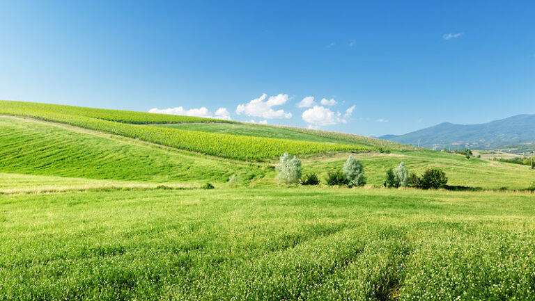 Feature image