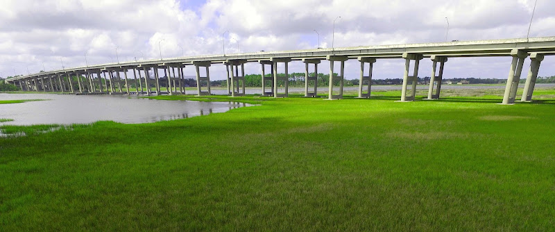 457292 wilcox law firm ponte vedra law group