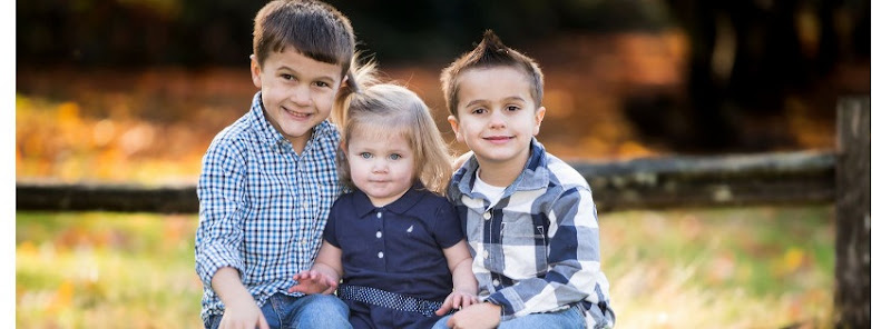 457684 willamette nw law firm llc