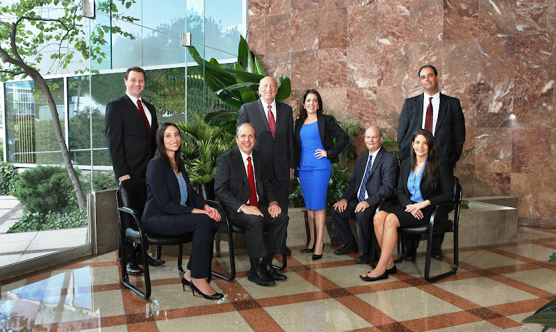 461602 wisselman harounian family law