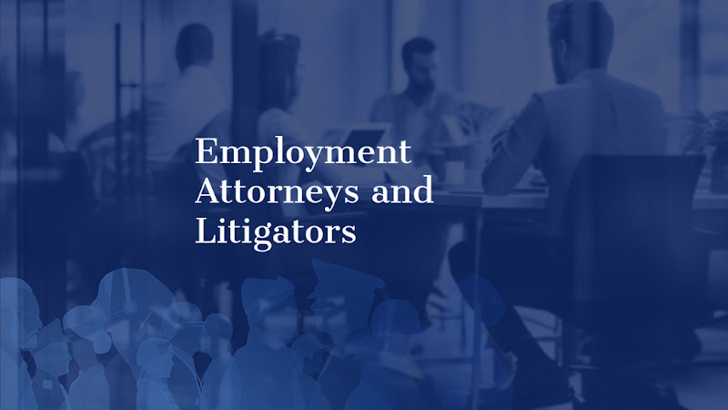 463266 workplace law partners