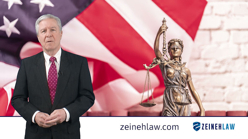 466135 zeineh law